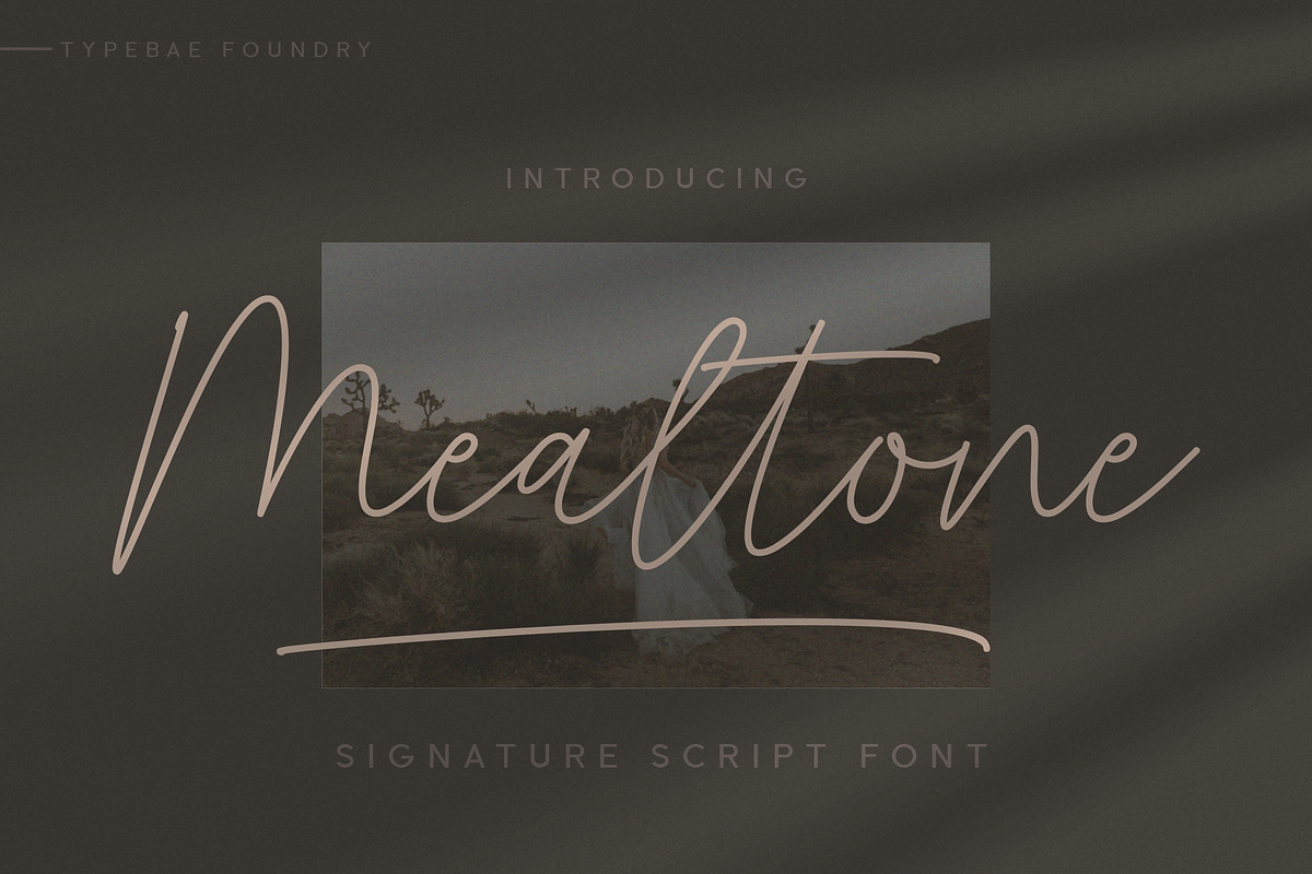 Mealtone Signature Script Font, a Script Font by Typebae (Photo 1 of 8)