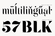 SF Kingston | Family, a Serif Font by Anthony James (Thumbnail 4 of 5)