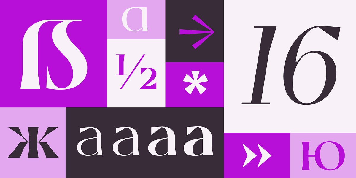 Celaraz, a Serif Font by Tokotype (Photo 2 of 6)