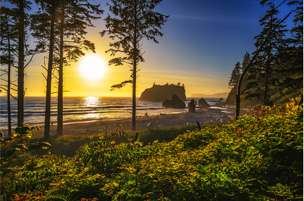 Colorful sunset at Ruby Beach in, a Nature Photo by Nick Fox