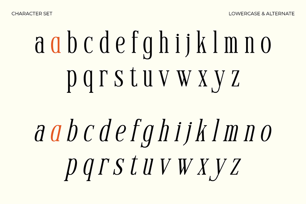 Voracity - Serif Display Font, a Serif Font by Brainwaves.Studio (Photo 4 of 9)