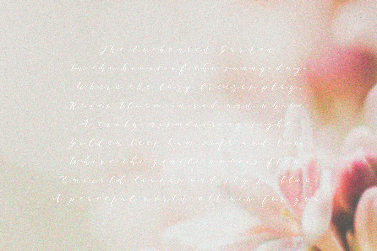Hazy Botanical Vellum Backgrounds, a Graphic by DigitalDream (Photo 9 of 9)