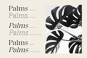 Hermitage, a Serif Font by Larin Type Co. (Thumbnail 3 of 12)
