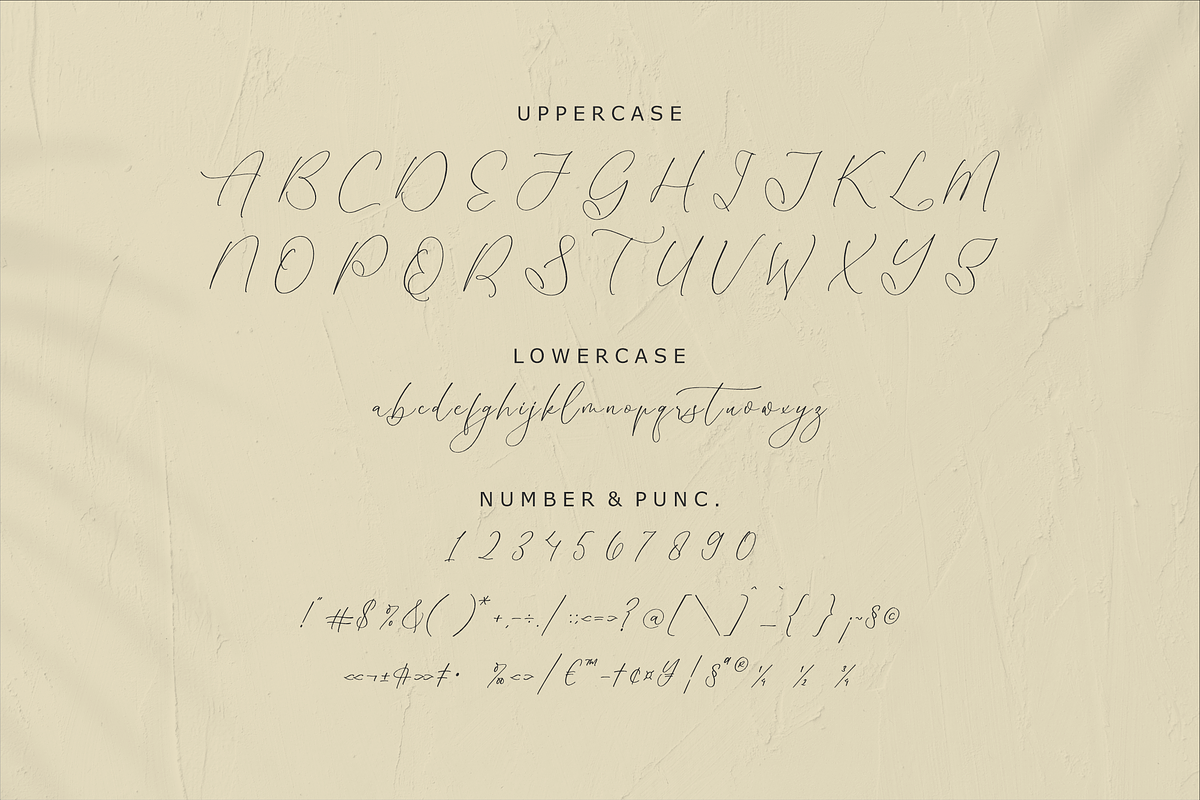 Homylane Dreamyntine Chic Calligraph, a Script Font by Storytype Studio (Photo 12 of 15)