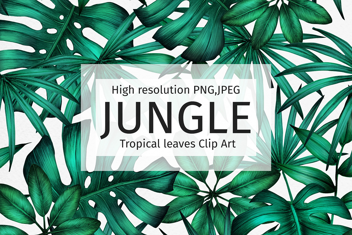 JUNGLE leaves Clip Art., an Illustration by ARTVracovska (Photo 1 of 5)