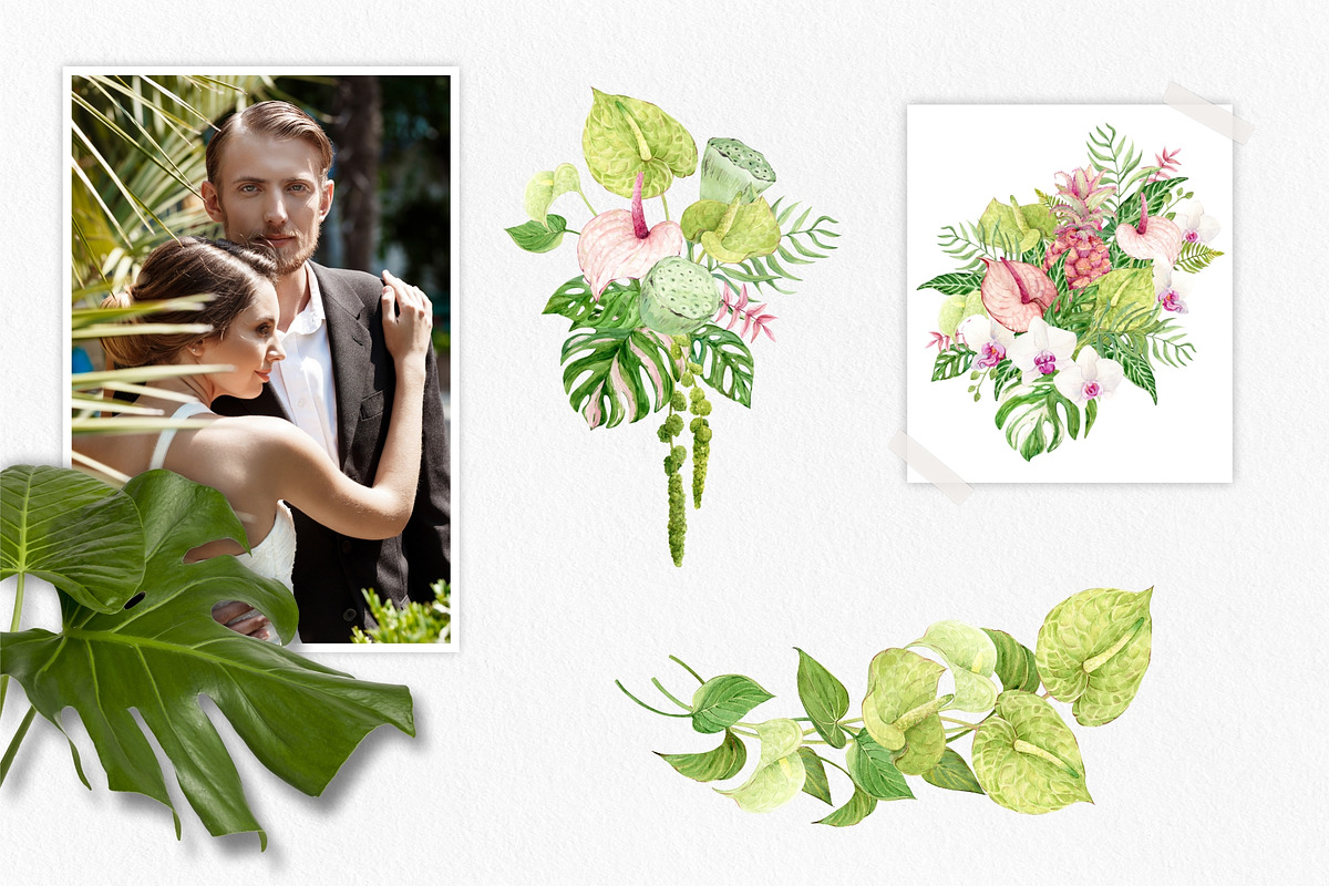 Tropical Flowers. Exotic flora set, an Illustration by Tata Pilip (Photo 4 of 21)
