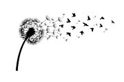 Dandelion Blow Silhouette Bundle, an Illustration by yasushie (Thumbnail 8 of 31)