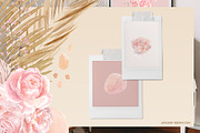 Tropical Romance modern floral rose, an Illustration by January Bloom (Thumbnail 4 of 29)