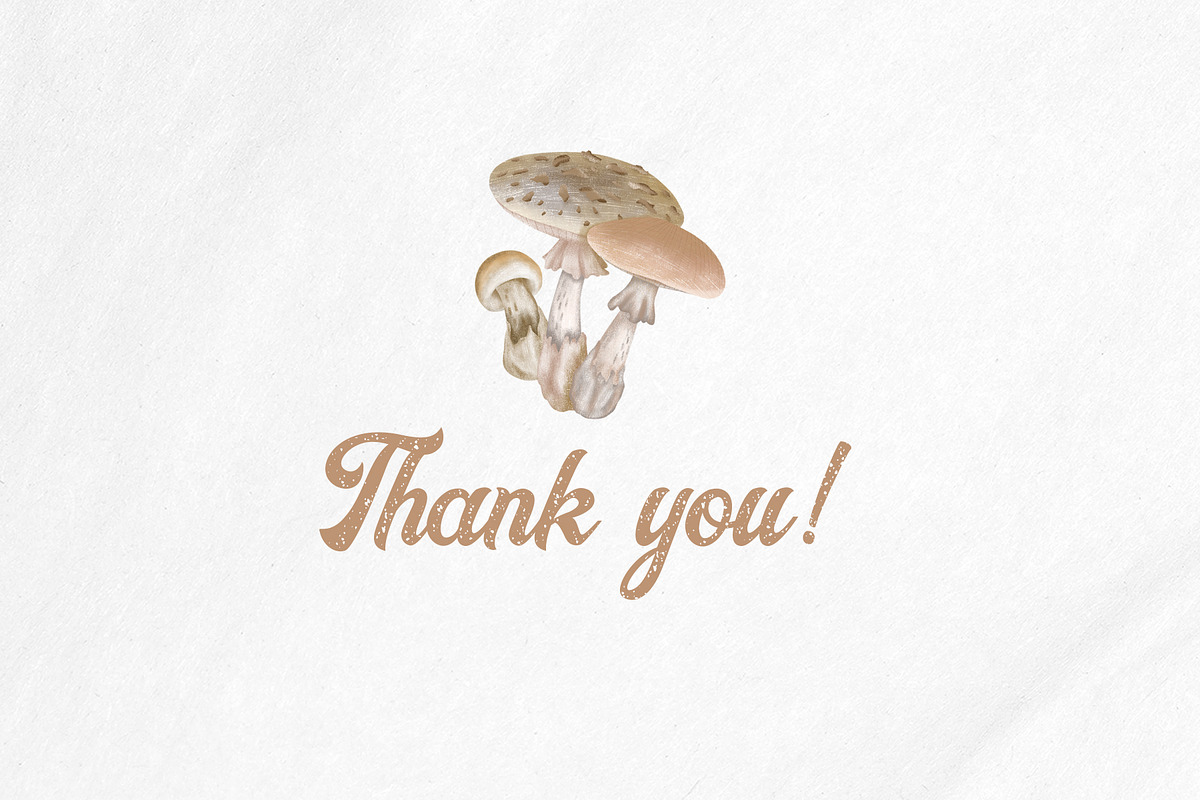 Poisonous mushrooms clipart, an Education Illustration by Yelloo Fish (Photo 10 of 10)
