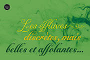 Alipe Script, a Script Font by TeGeType foundry (Thumbnail 3 of 6)