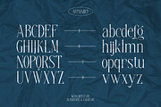 Aerial | Multipurpose serif, a Serif Font by ClevUs (Thumbnail 10 of 12)