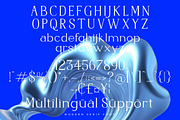 Haritego - Modern Serif, a Font by AmorfaType (Thumbnail 8 of 10)