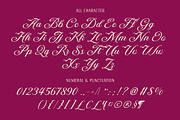DT Maroon Champagne, a Handwritten Font by Dryy.type (Thumbnail 9 of 15)
