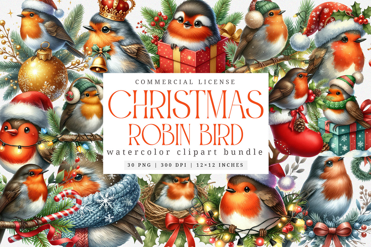 Watercolor Christmas Robin Clipart, an Illustration by SinaCreation (Photo 1 of 7)