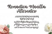 Romantica Manilla – A Handcrafted Sc, a Script Font by Four Lines Std. (Thumbnail 9 of 11)