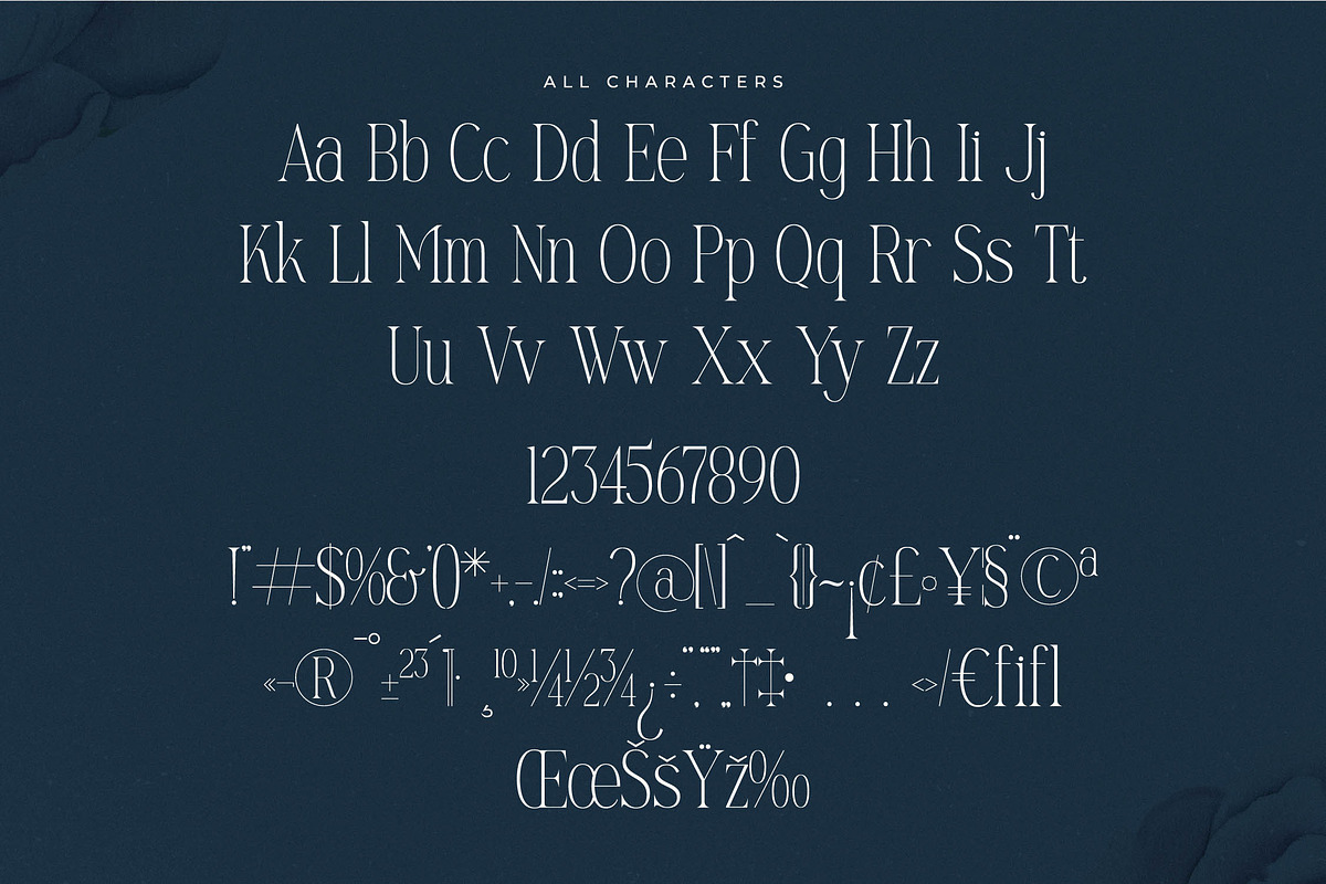 Mostlight Modern Alternate Serif, a Serif Font by Letterena Studios (Photo 13 of 15)