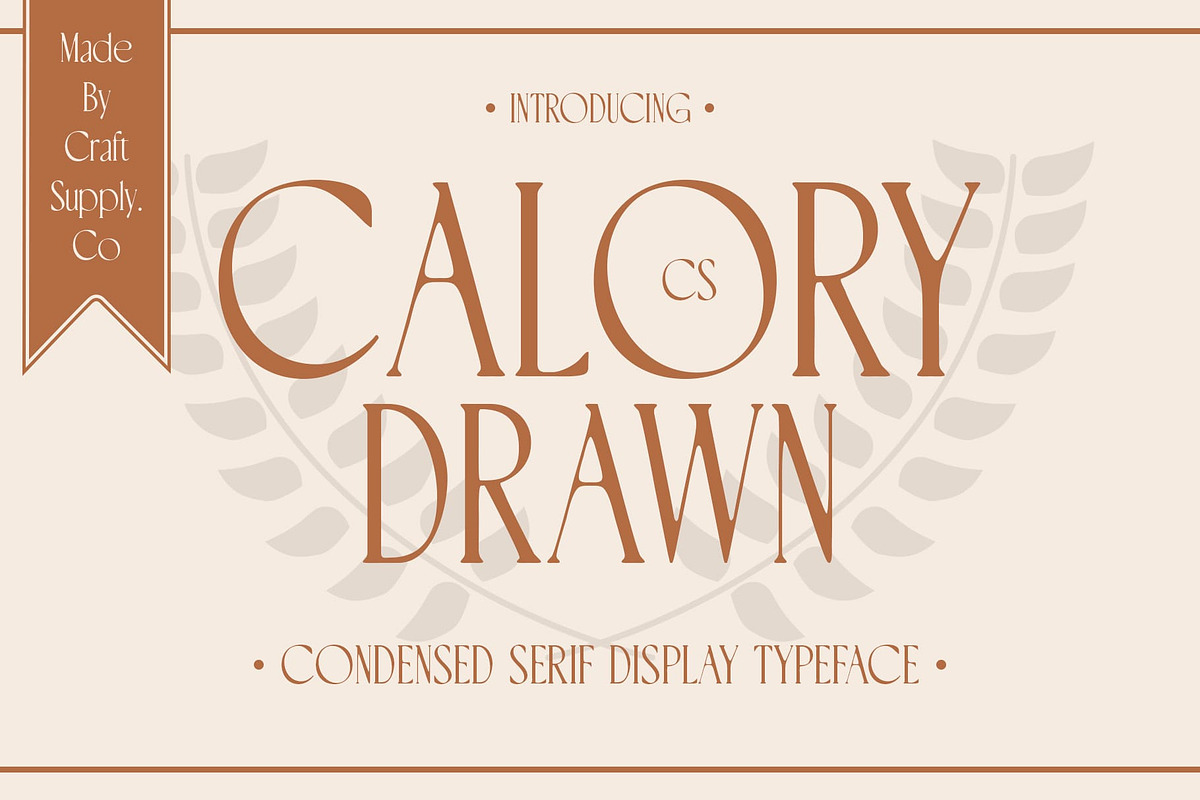 CS Calory Drawn, a Serif Font by Craft Supply Co. (Photo 1 of 8)