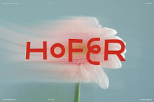 Hofer