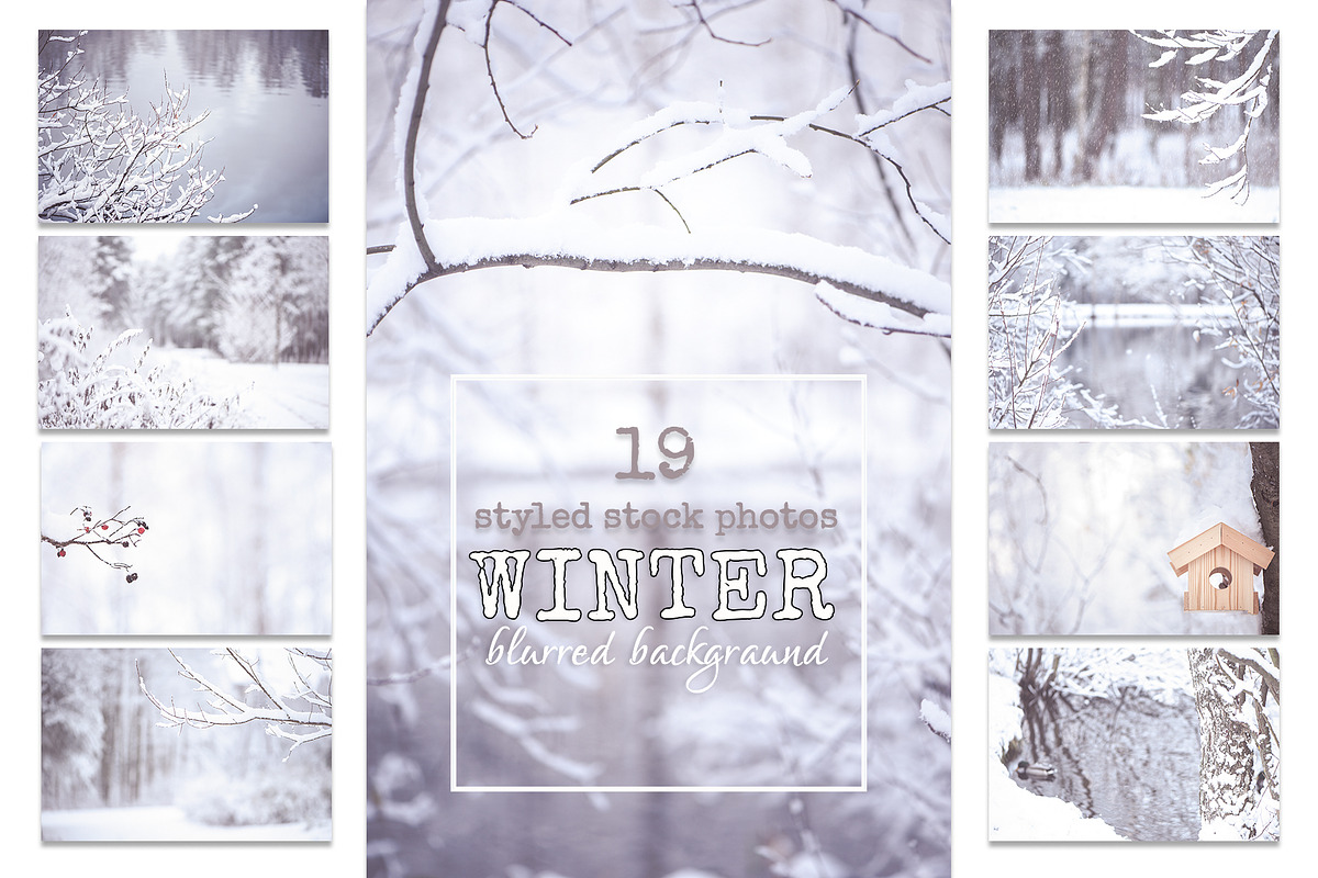 Winter Blurred background, a Nature Photo by WildStrawberry Magic (Photo 1 of 9)