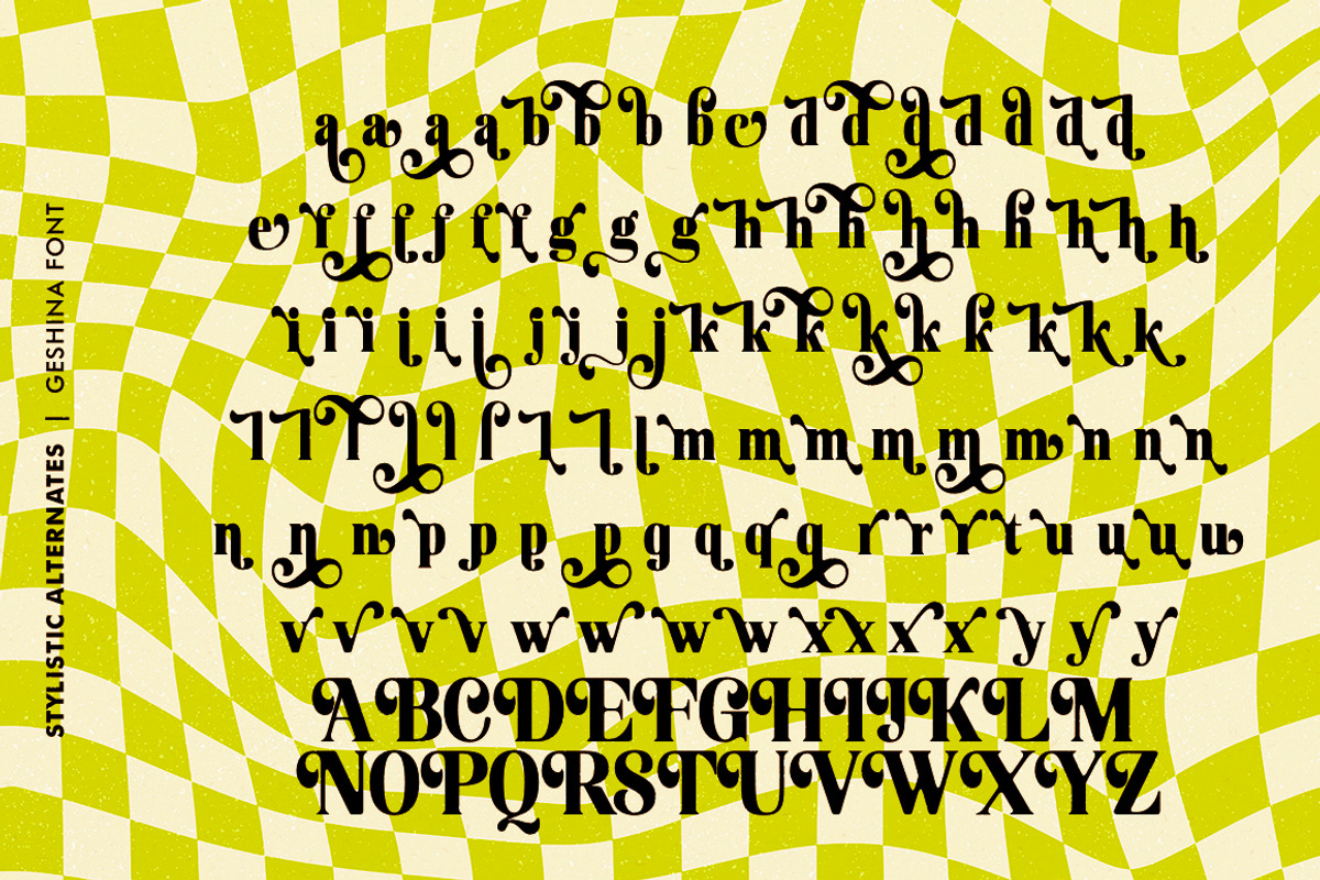 Geshina Typeface, a Serif Font by Seniors (Photo 9 of 11)