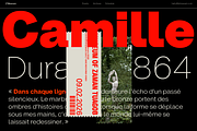 ZT Hoky Geometric - 54 Fonts, a Sans Serif Font by zelow type (Thumbnail 10 of 15)