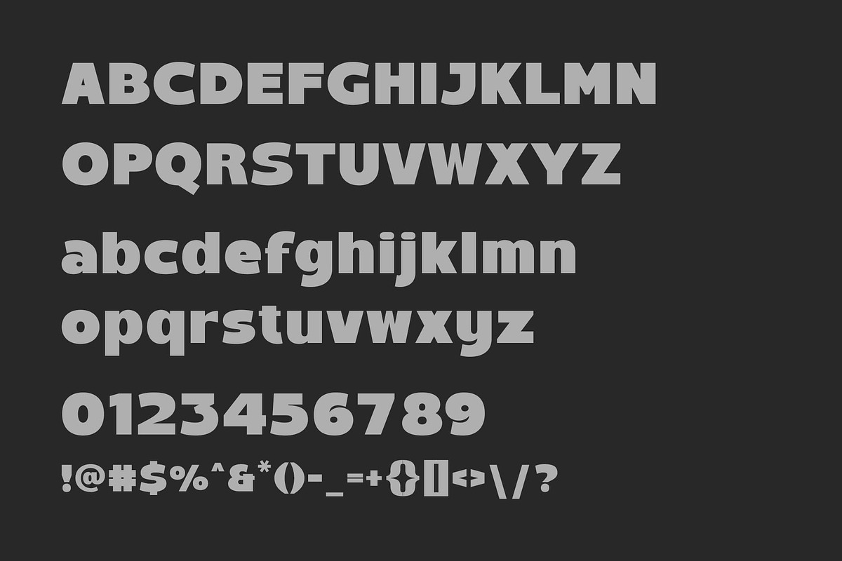 Saking - A Bold Sans Serif, a Sans Serif Font by Typeformers (Photo 4 of 5)