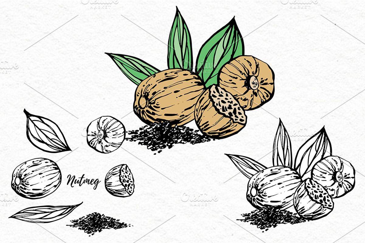 Nuts and snacks, a Food Illustration by Ann Astro (Photo 20 of 24)