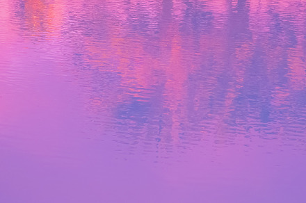 Stylish relax wallpaper.Water background in the pool and palm t, a Nature Photo by Jenya Porechenskaya