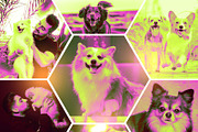 Collage Photo Frame Design Bundle, a Print Template by MRI STUDIO (Thumbnail 24 of 42)