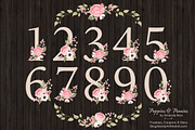 Soft Pink Floral Number Vectors, an Illustration by Amanda Ilkov (Thumbnail 2 of 5)