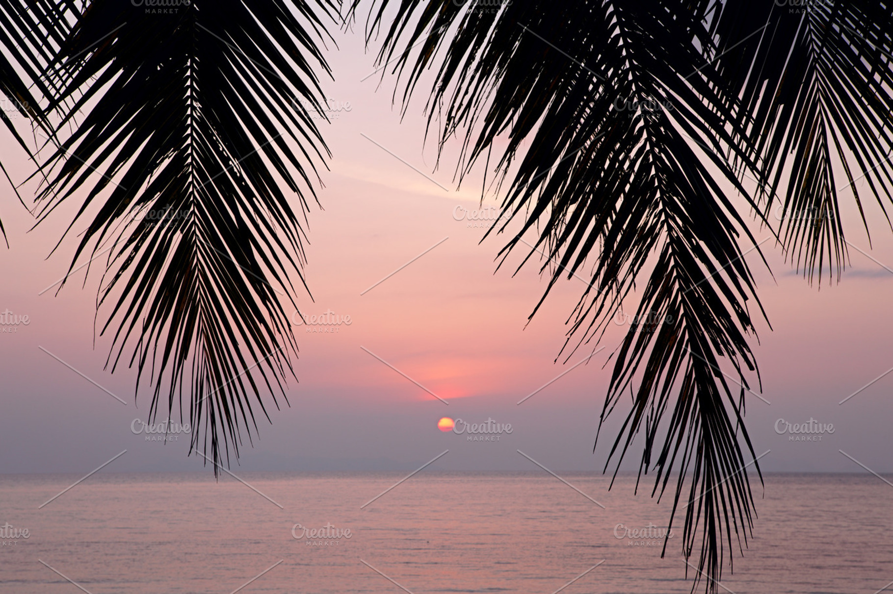 Tropical sunset stock photo containing background and beach, a Nature Photo by khoroshkov