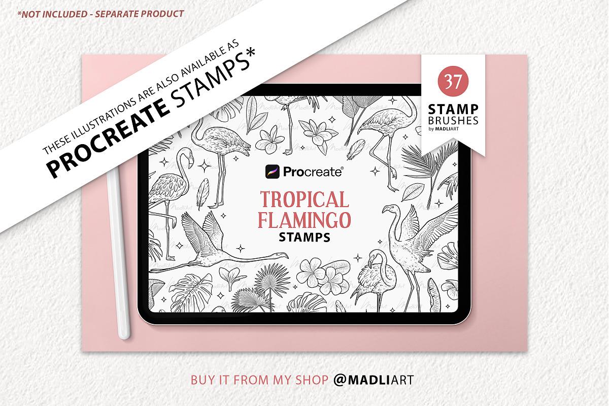 Tropical Flamingo Vector Line Art, an Animal Illustration by MadliArt (Photo 4 of 4)
