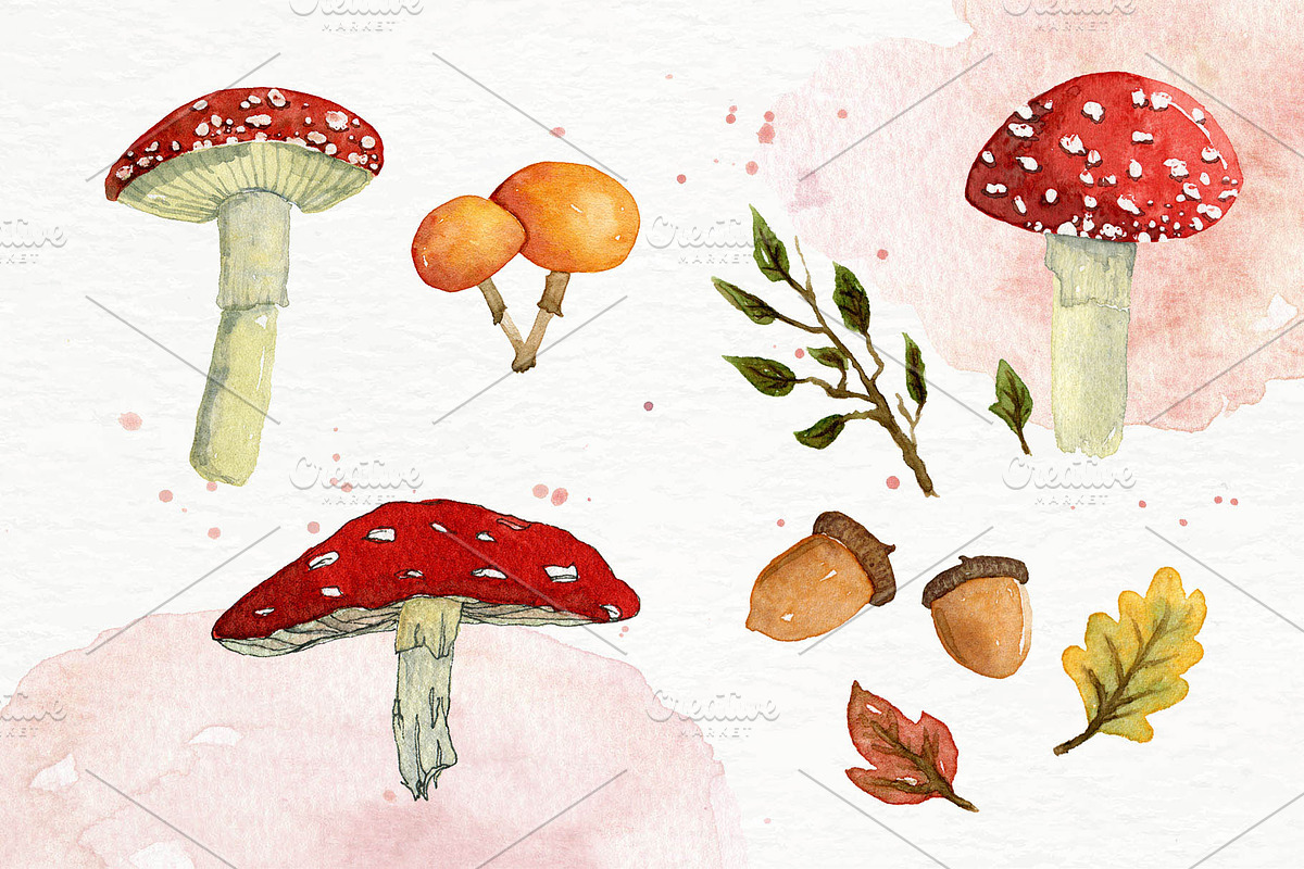 Autumn watercolor set Mushroom Magic, a Texture Illustration by paperlions (Photo 3 of 6)