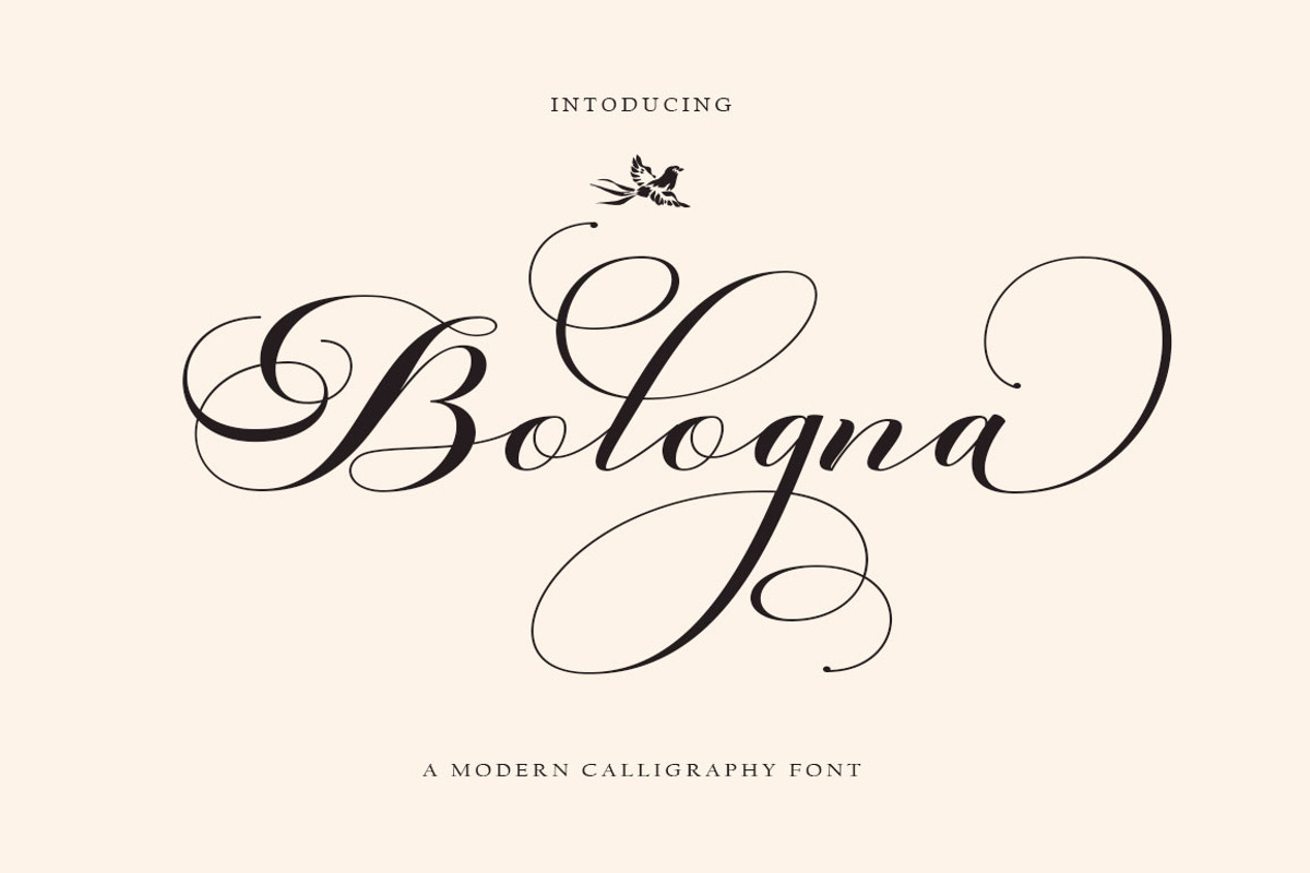 Bologna Script, a Script Font by Has_rizal (Photo 1 of 13)