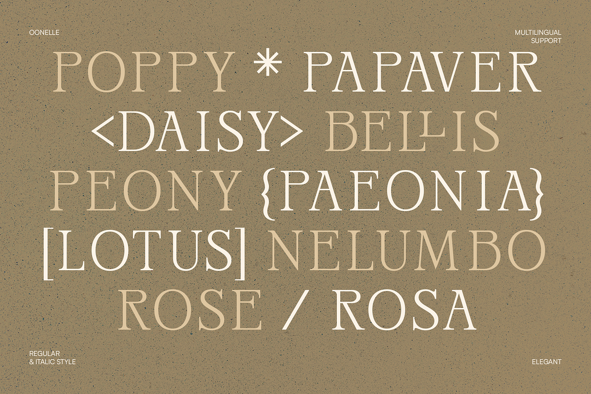Oonelle - Elegant Serif Display, a Font by Indotype Foundry (Photo 8 of 10)