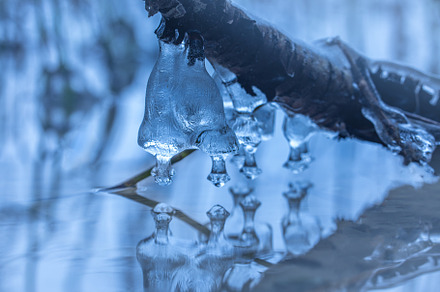 Icicle formations on a branch of a, a Wallpaper Graphic by Lukas Jonaitis SHOP
