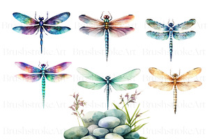 Watercolor Dragonfly Clipart, Insect