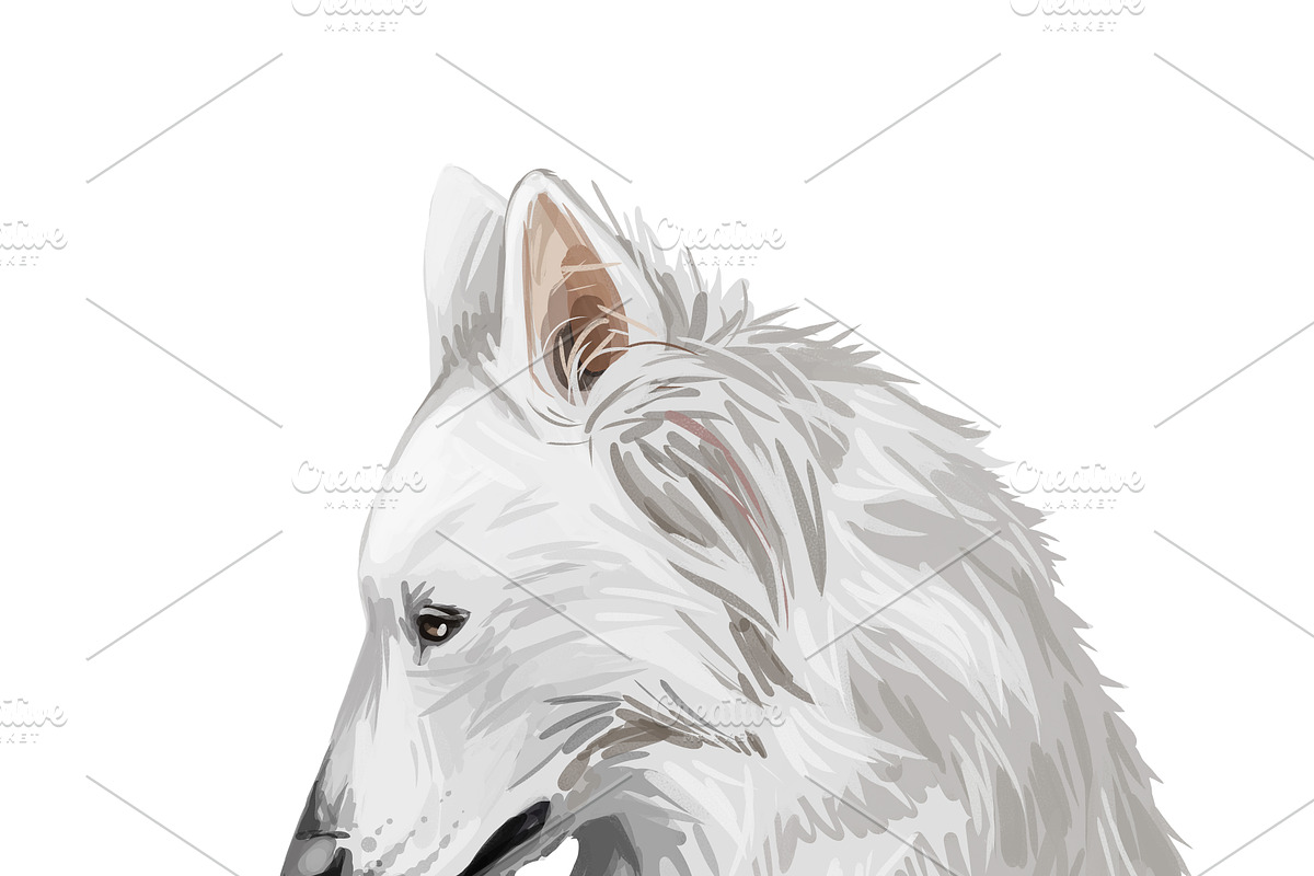55 Dog Breeds Popular in USA, an Animal Illustration by Dneprstock (Photo 2 of 14)