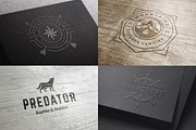 280 Outdoor logos and badges, a Branding & Logo Template by Vasya Kobelev (Thumbnail 61 of 83)