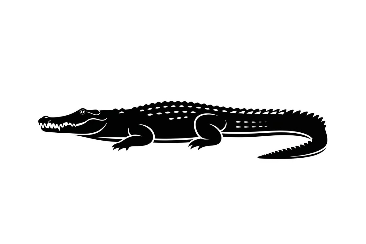 Crocodile Alligator Vector Bundle, an Illustration by jahid234 (Photo 34 of 51)