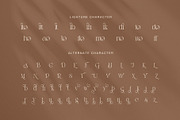 Bandito Elegant Contrast Serif Font, a Serif Font by Graphicxell (Thumbnail 8 of 8)