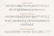 Claster Oleander, a Font by ToniStudio (Thumbnail 7 of 11)