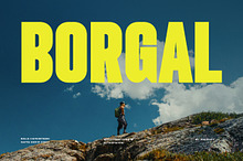 Borgal - Condensed Sans Serif Font