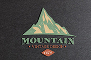 12 Vintage Badge Logos Version 4, a Branding & Logo Template by Graphicgo (Thumbnail 6 of 6)