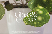 Melange - Elegant Serif, a Serif Font by Mikhail Kitsune (Thumbnail 3 of 8)