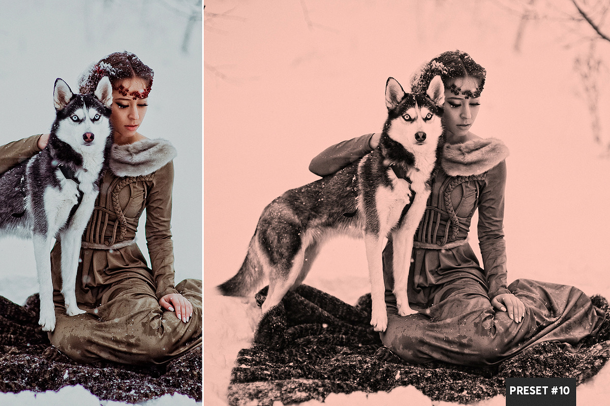 Monotone LR Presets Mobile + Desktop, a Plug-in Add-On by PhotoSpirit (Photo 3 of 10)