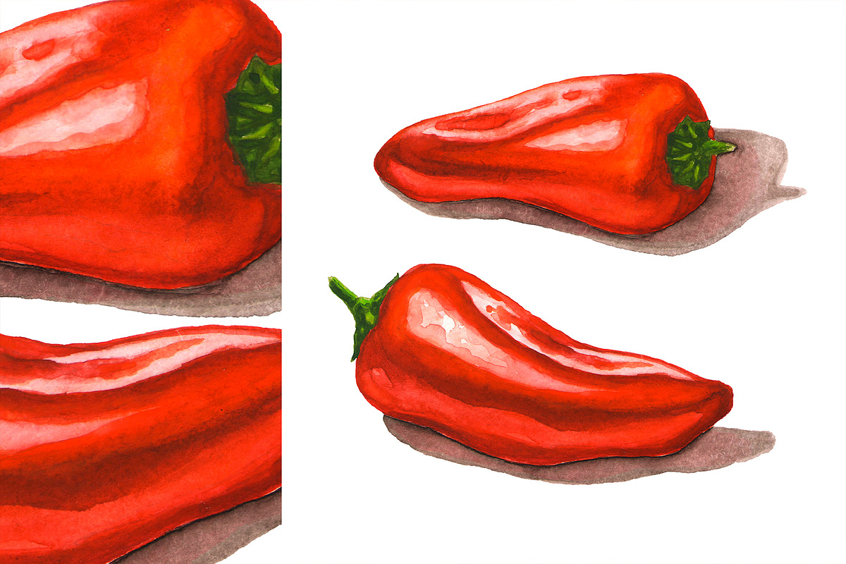 Hand-drawn Watercolor Mini Peppers, a Decorative Illustration by Margo Miller (Photo 10 of 17)