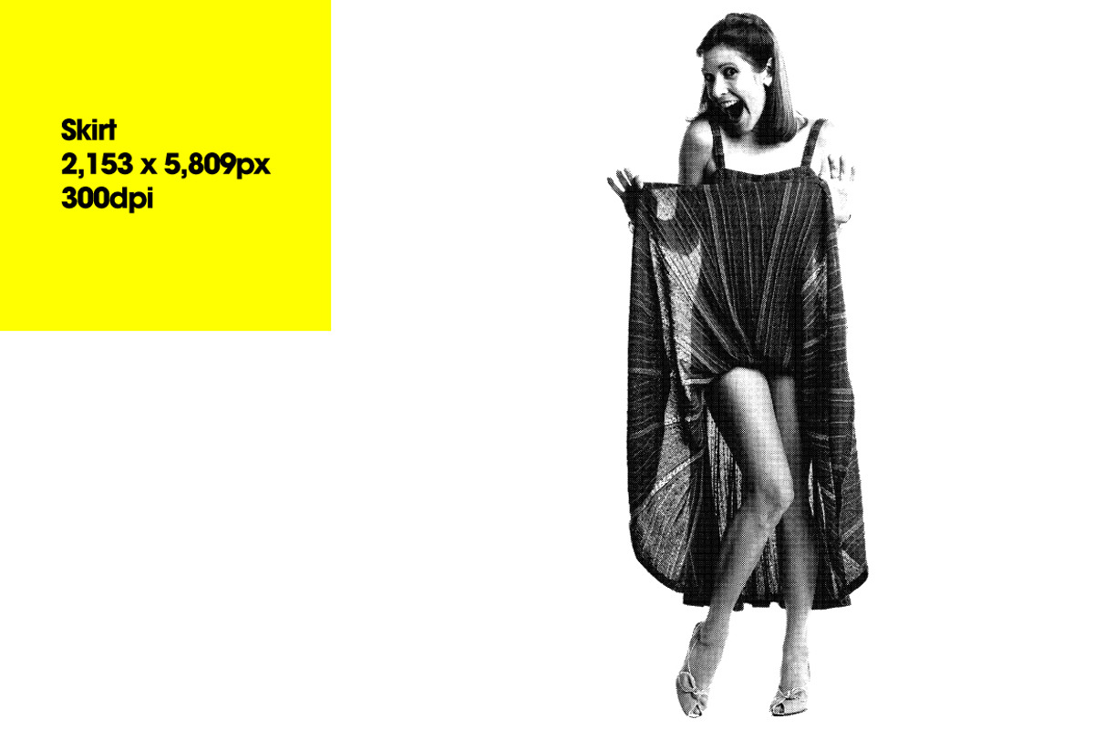Halftone Retro Ladies, an Object Graphic by Offset (Photo 10 of 13)