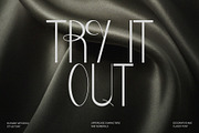 Classy Decorative Font - CRINGELIA, a Font by CreativeFolks (Thumbnail 6 of 11)
