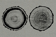 26 Large Tree Ring Textures, a Texture Graphic by Offset (Thumbnail 11 of 16)